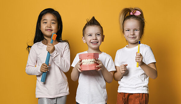 Drei Kinder halten ein Gebissmodell und Zahnputzzeug in den Händen