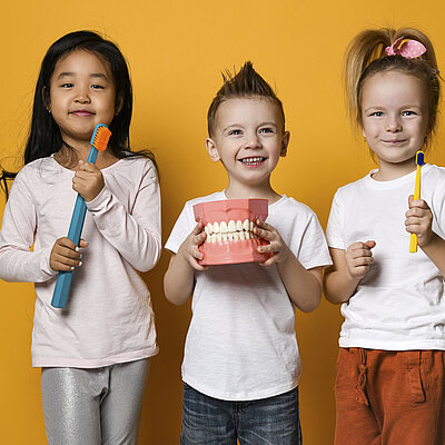 Drei Kinder halten ein Gebissmodell und Zahnputzzeug in den Händen