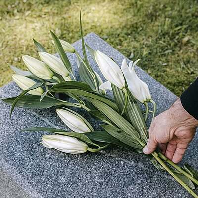 Eine Hand legt einen Lilienstrauß auf einen Grabstein